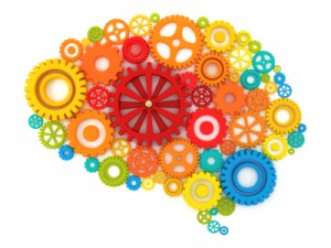 brain rules brain rules